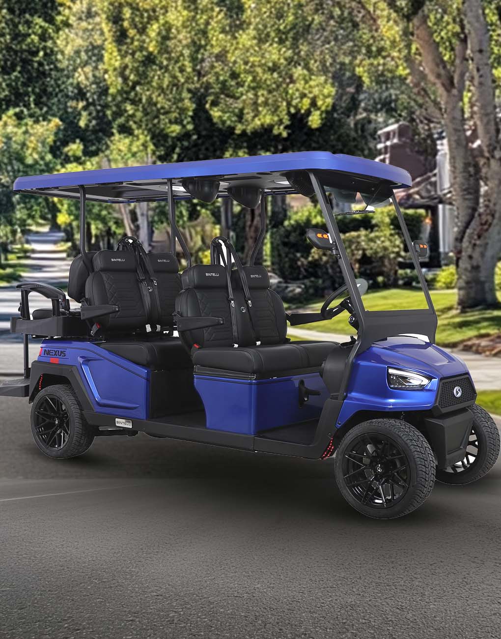 Premium 6 Passenger Electric